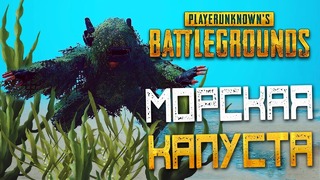 Playerunknown’s Battlegrounds – Операция Морская Капуста или Брокколи Наносит Удар