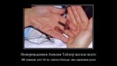 35 самых интересных фактов