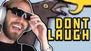 You Laugh You Die — PewDiePie