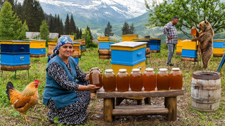 Golden Nectar: Collecting Honey and Creating Homemade Sweets