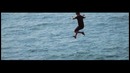 Martin Garrix – Simply a Legend? (The Best of Tracks’n’ Facts)