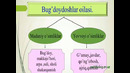 Bug`doydoshlar oilasi