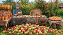 Autumn Apple Harvest | Preparing for Winter