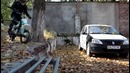 Поездка за хлебом