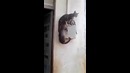 Последний.. Не значит проигравший ))