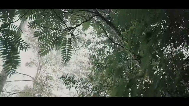 Deathspell – Suncatcher (ft. Loreishi) (Official Music Video 2025)