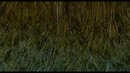 Стокер/ Stoker featurette