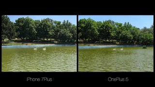 Oneplus 5 против iphone 7 plus сравнение камер