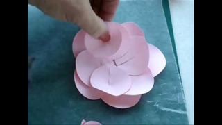 Diy paper flowers, make a rose or water lily