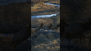 Paid Content for @toyotausa. Explore the rugged beauty of Colorado’s San Luis Valley