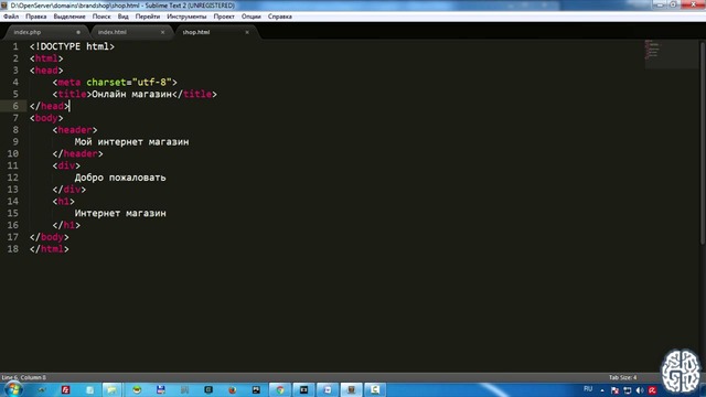Веб-разработка. Быстрый старт. Основы PHP. Видеокурс – lesson3
