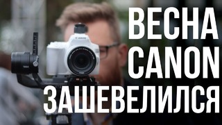 Фантастическая щедрость от Canon – 4К в дешевой зеркалке