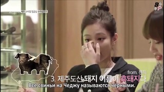 BLACKPINK House ep. 10-4 [рус. саб]