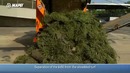 Искусственное покрытие на Сан-Сиро