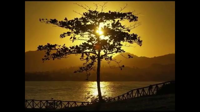 Smokie – Love Hurts (by Roy Orbison)