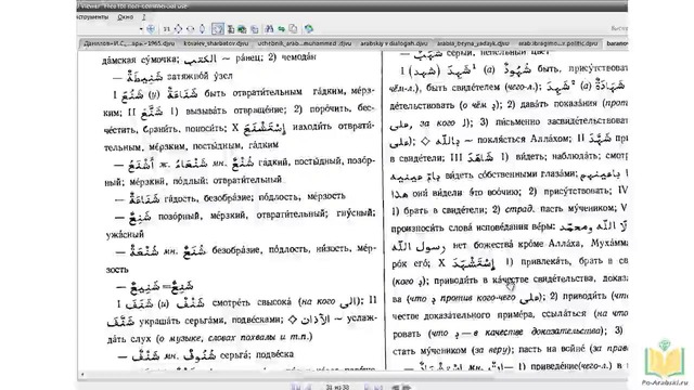 Как пользоваться арабскими словарями