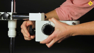 Бінокулярний оптичний мікроскоп AmScope SW-3B24