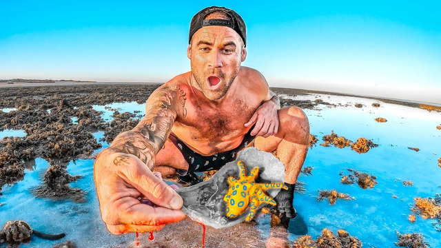 My Finger Got Bit OFF – World’s Deadliest Octopus