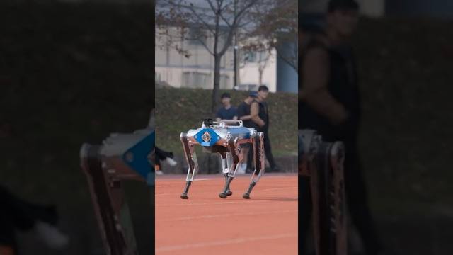 Fastest 100 metres by a quadrupedal robot – 19.87 seconds by KAIST DRCD Lab
