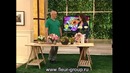 Лепка из полимерной глины: “неувядающие” цветы