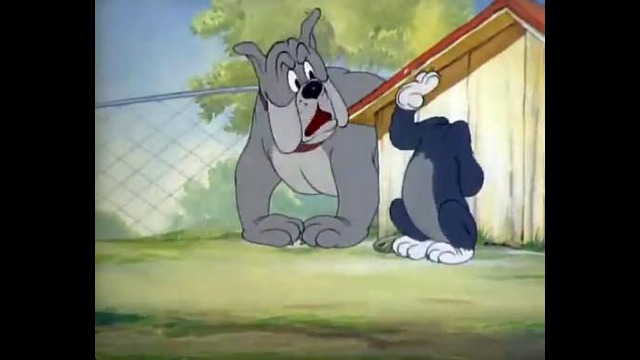 Tom and Jerry – 15 Серия (1-Сезон)