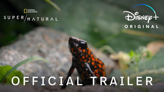 Super/Natural | Official Trailer | Disney