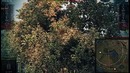 Советы WoT AMX CDC – Самый скиллозависимый прем