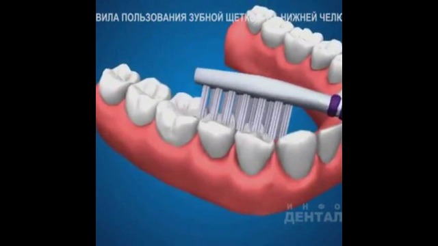 Правила использования зубной щётки от @Sarvar0101