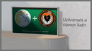 Платформа UzAnimals и Приют Хаёт