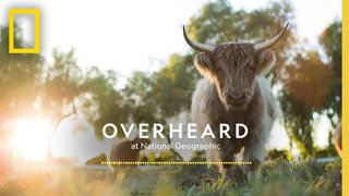 Farming for the Planet | Podcast | Overheard at National Geographic