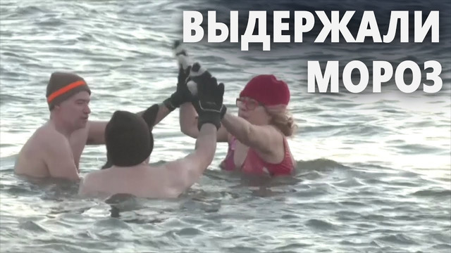 Канадские моржи окунулись в озеро, несмотря на мороз