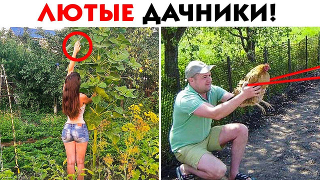 55 лютых дачников, которые зашли слишком далеко