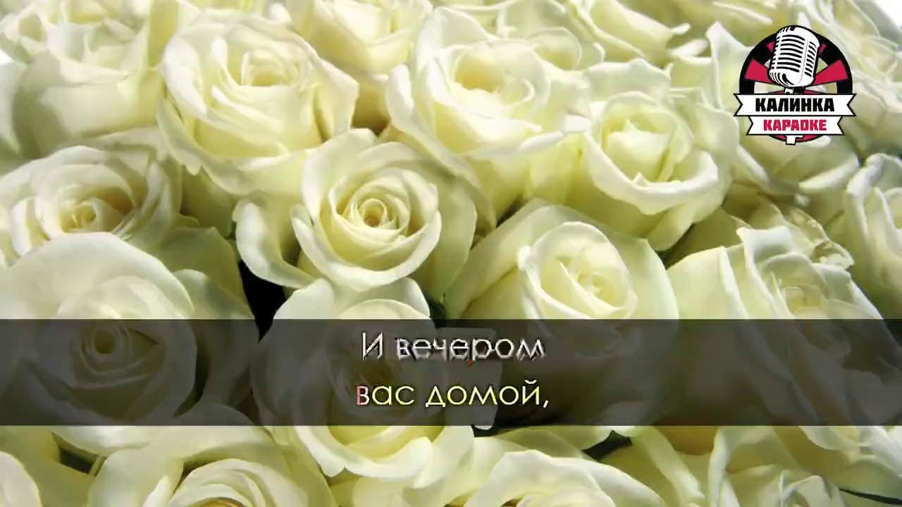 Белые розы желтые тюльпаны сибирские шатунова