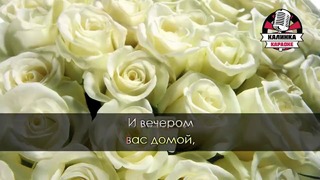 Юрий Шатунов – Белые розы (Караоке) (2)