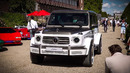 One of One Carlex Himalaya Diamond Mercedes G63 AMG