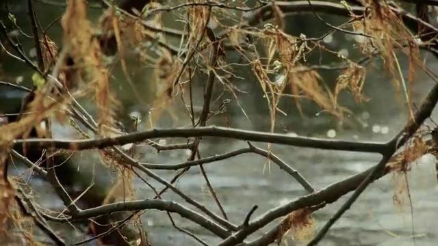 Irlanda (Ireland) from Raul Medina on Vimeo