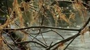 Irlanda (Ireland) from Raul Medina on Vimeo