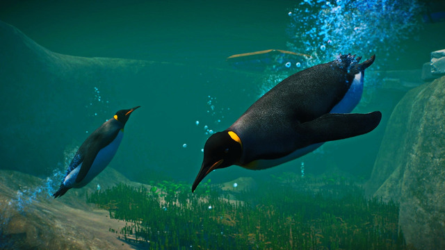 Planet Zoo ◘ Aquatic Pack ◘ Новое DLC ◘ (Nutbar Games)