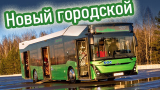 Горб Зубра Знакомимся с Автобусом МАЗ-303