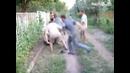 Mortal combat «fatality»