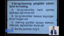 5-sinf. Tarix. Mustahkamlash uchun testlar