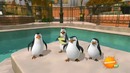 The Penguins of Madagascar s01e16. All Choked