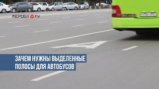 В Ташкенте появляются выделенные полосы для автобусов