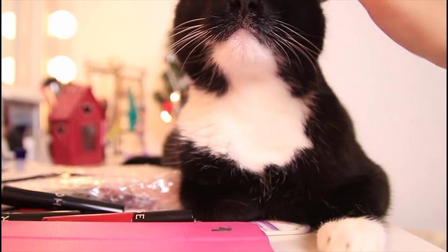 Elena864 – [VLOG] Готовлюсь к Праздникам | Вечернее Платье | IKEA