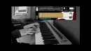 Scarbee Jay-Bass Library