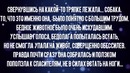 Собачонка была сильно истощена и в ожогах от сигарет