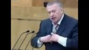 Жириновский опять рассмешил Путина.)