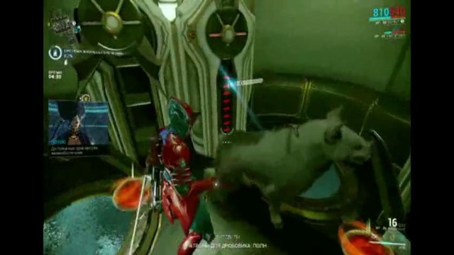 Разговоры под Warframe