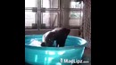 Обезьяна кайфует)