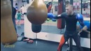 ALL Conor McGregor Boxing Footage and Progress